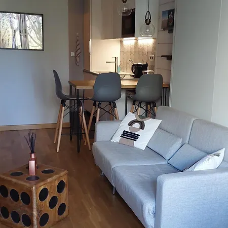 Confortable Renove Avec Wifi A - Fr-1-517-69 Apartment Chamonix